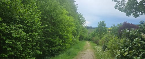 Felder und Wälder bei Buch am Erlbach