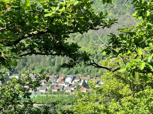 Neustadt / Wstr. - Rundwanderweg Weinbiet - Wolfsburg