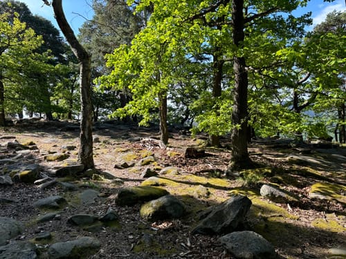 Neustadt / Wstr. - Rundwanderweg Weinbiet - Wolfsburg