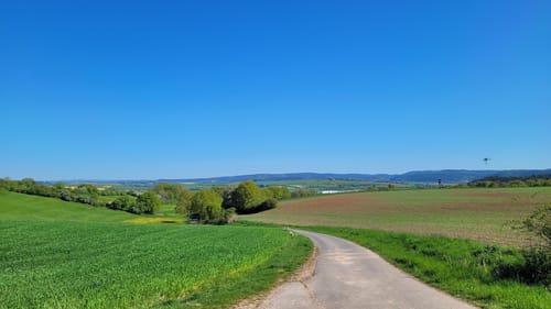 Lahnwanderweg Etappe 7: Marburg - Fronhausen