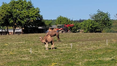 Lahnwanderweg Etappe 7: Marburg - Fronhausen