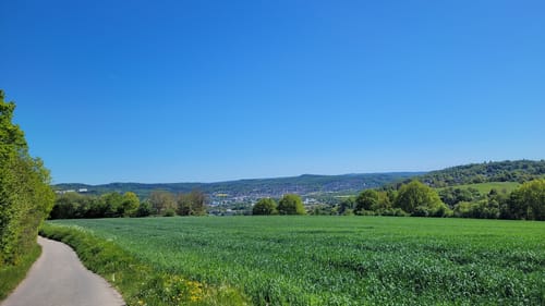 Lahnwanderweg Etappe 7: Marburg - Fronhausen