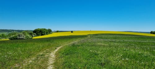Bliesgau Tafeltour (Premiumwanderweg)