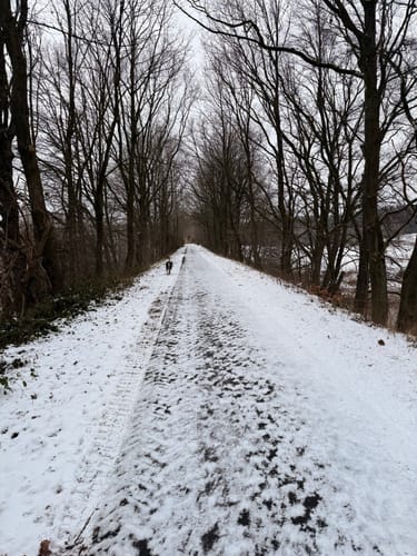 Rund um den Weilerbach