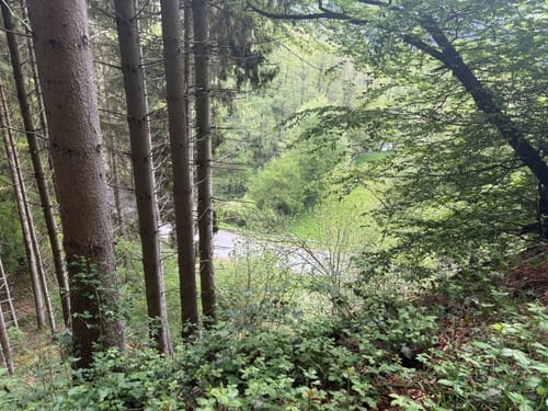 Haaserott-Runde