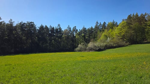 Weigendorf - Haunritz - Lichtenegg