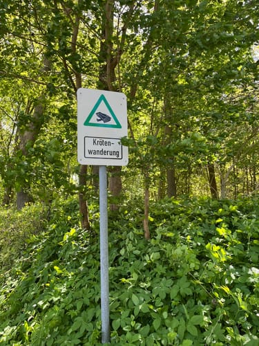 Ochsenweg-Ostroute Etappe 2: Schleswig - Rendsburg