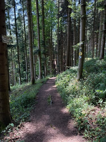 Hahn-und-Henne-Runde (Genießerpfad)