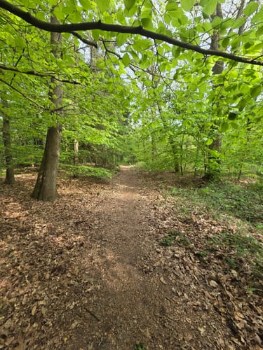 Zur Dünenlandschaft und zum Schwarzen Wasser