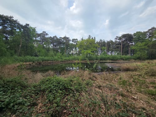 Zur Dünenlandschaft und zum Schwarzen Wasser