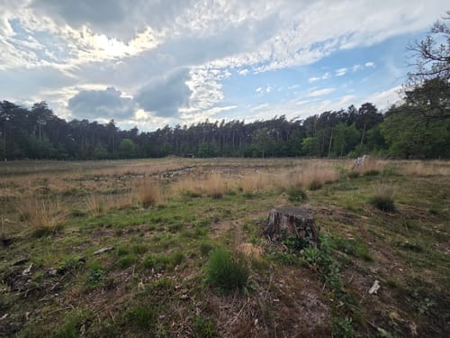 Zur Dünenlandschaft und zum Schwarzen Wasser