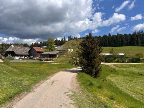 Waldpfad Groppertal (Premiumwanderweg)