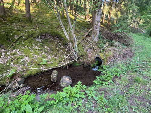 Wildewiese-Glingebachtalsperre - Pumpspeicherwerk - Faulebutter