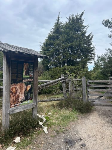 Undeloh Rundweg