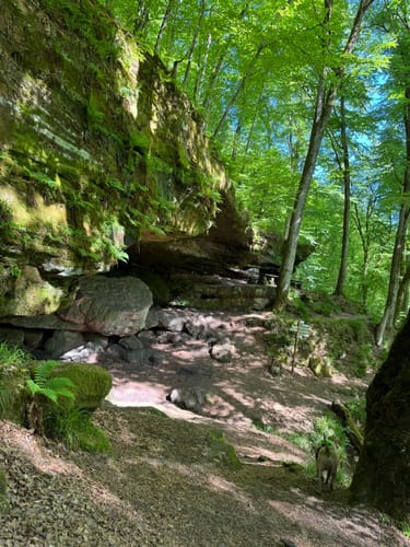 Durchs Langenbachtal zur Bärenhöhle
