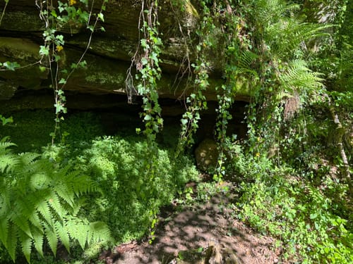 Durchs Langenbachtal zur Bärenhöhle