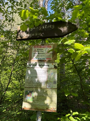 Werwolf-Wanderweg Bedburg