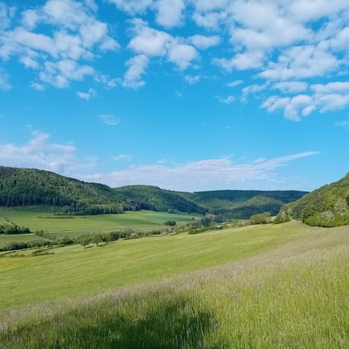 Deggingen - Fuchseck - Wasserberghaus Runde