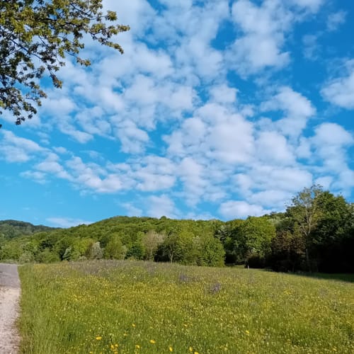 Deggingen - Fuchseck - Wasserberghaus Runde