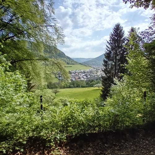 Deggingen - Fuchseck - Wasserberghaus Runde