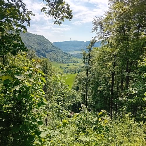 Deggingen - Fuchseck - Wasserberghaus Runde