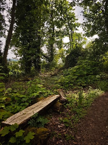 Rheinsteig Etappe 9: Vallendar - Koblenz