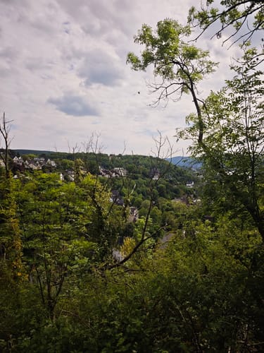 Rheinsteig Etappe 9: Vallendar - Koblenz