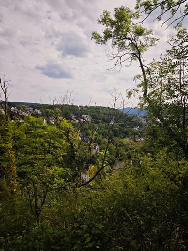 Rheinsteig Etappe 9: Vallendar - Koblenz