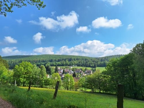 Kammwanderung auf historischem Weg durch pilzreiche Wälder