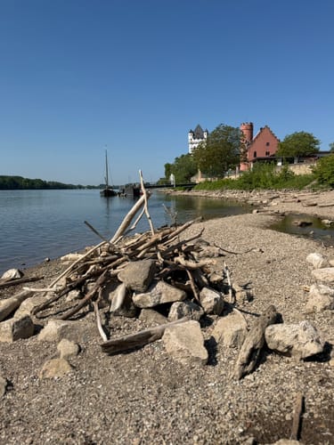 Burg Eltville ab Niederwalluf
