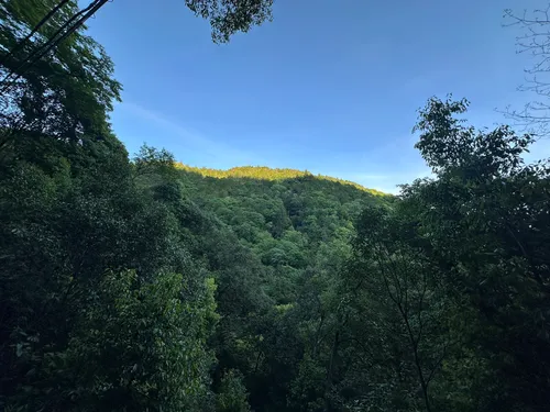 Mizuo River - hikes and trails to get you there | AllTrails