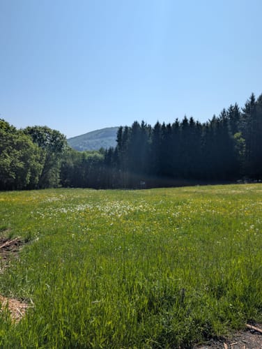 Lahnwanderweg Etappe 5: Buchenau - Caldern