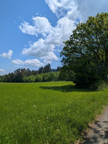 Lahnwanderweg Etappe 5: Buchenau - Caldern