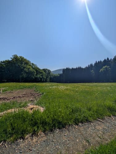 Lahnwanderweg Etappe 5: Buchenau - Caldern