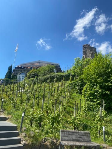 Runde um den Rodderberg