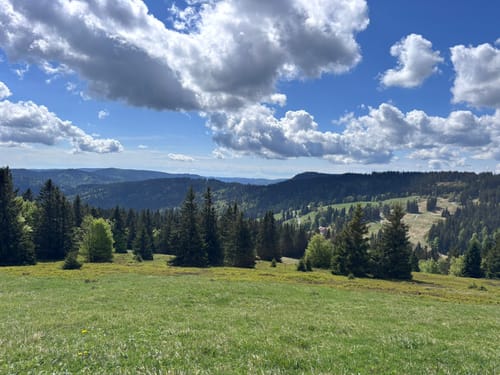 Feldbergsteig (Genießerpfad)