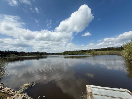 Rußweiher Rundweg