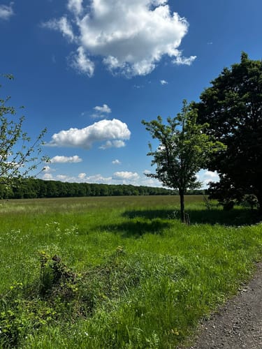 Kottenforst-Venusberg