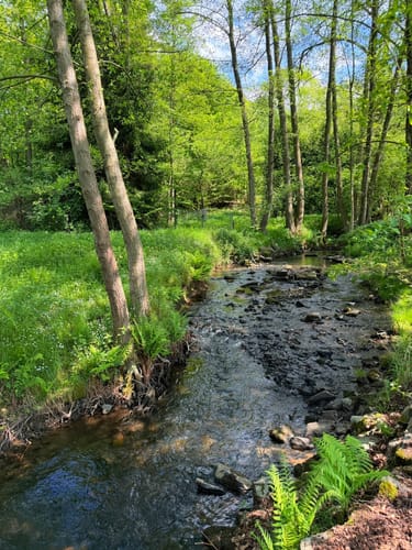 Entdeckerschleife Biohöfe im Windrather Tal