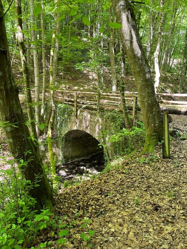Felsenweg 1 (Premiumwanderweg)