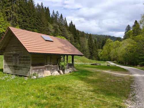 Höhenwanderung: Plankopf - Schliffkopf - Schweinkopf