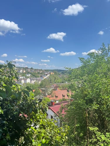 Waldweg Solnhofen