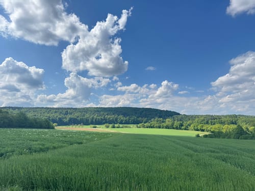 Waldweg Solnhofen