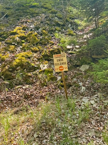 Waldweg Solnhofen