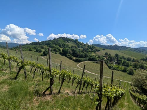 Gengenbach - Teufelskanzel - Abtsberg