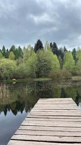 Tharandter Wald Wanderung