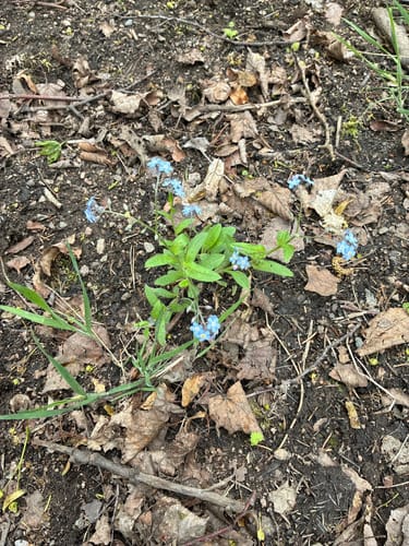 Tharandter Wald Wanderung