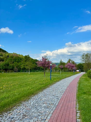 Floßgrabenwanderung