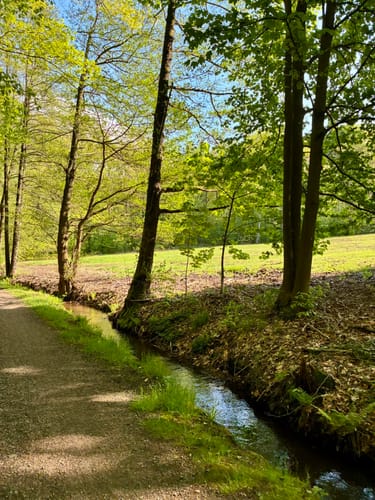 Floßgrabenwanderung