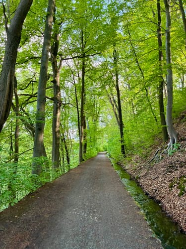 Floßgrabenwanderung
